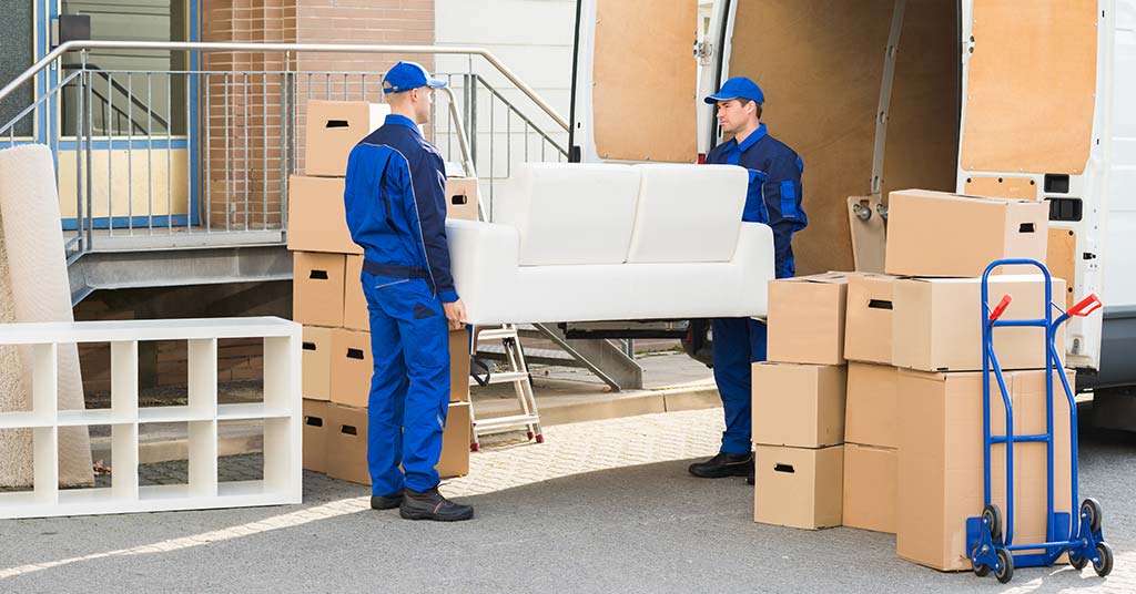 find choose mover south africa